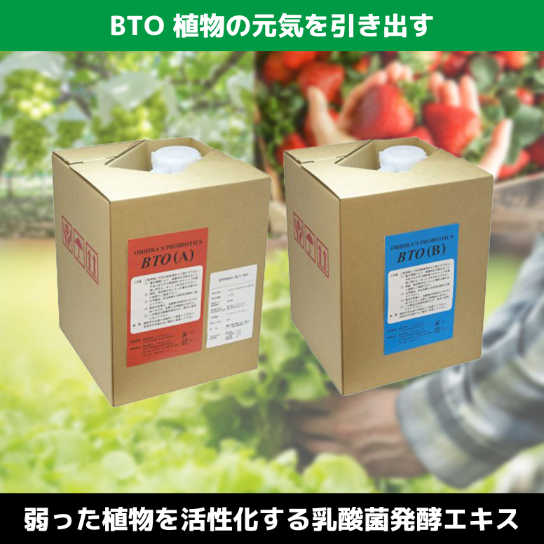 BTO 農業用 土壌改良剤 乳酸菌エキス 