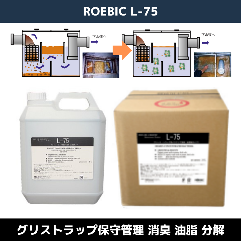 ROEBIC L-75 グリーストラップ（グリス阻集器） 油脂分解 消臭 バクテリア製剤